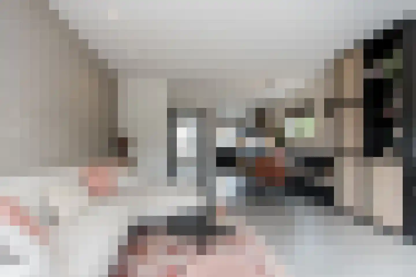Breedewaij 47 Hardinxveld-Giessendam thumbnail 5