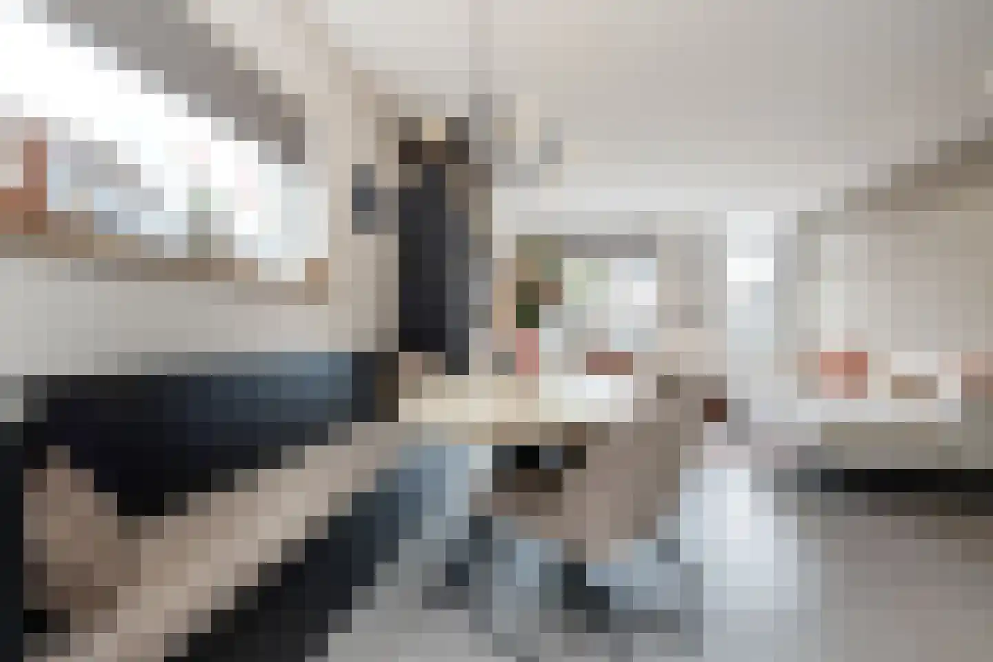 Breedewaij 47 Hardinxveld-Giessendam thumbnail 8
