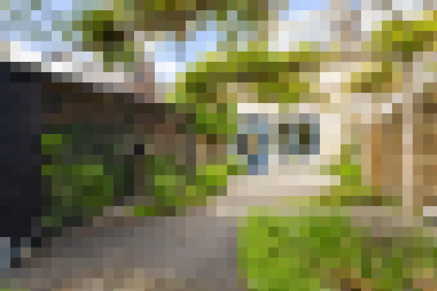 Breedewaij 64 Hardinxveld-Giessendam thumbnail 28