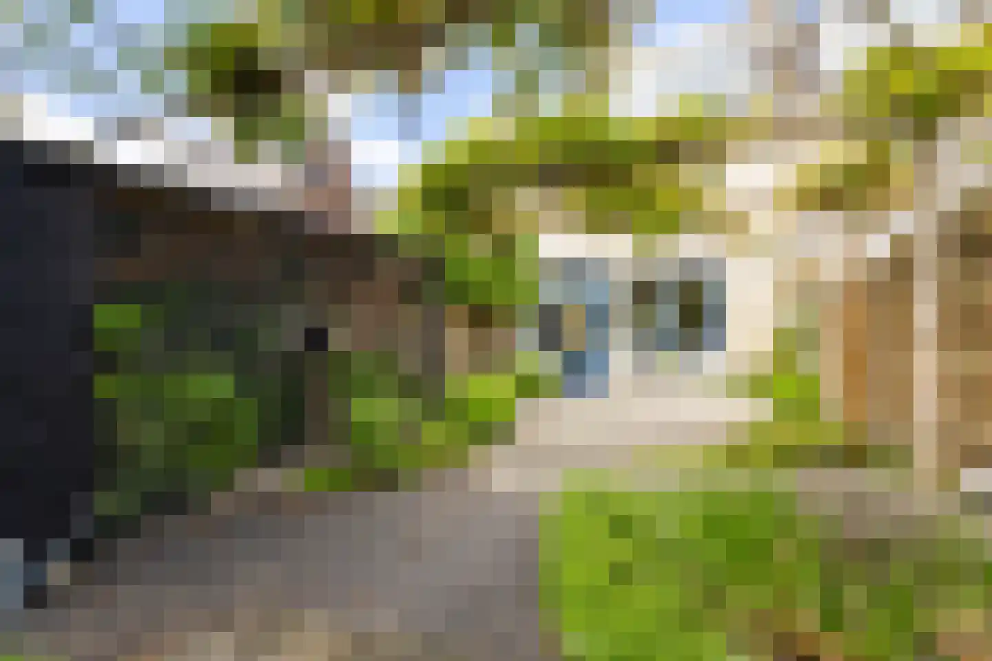 Breedewaij 64 Hardinxveld-Giessendam thumbnail 28