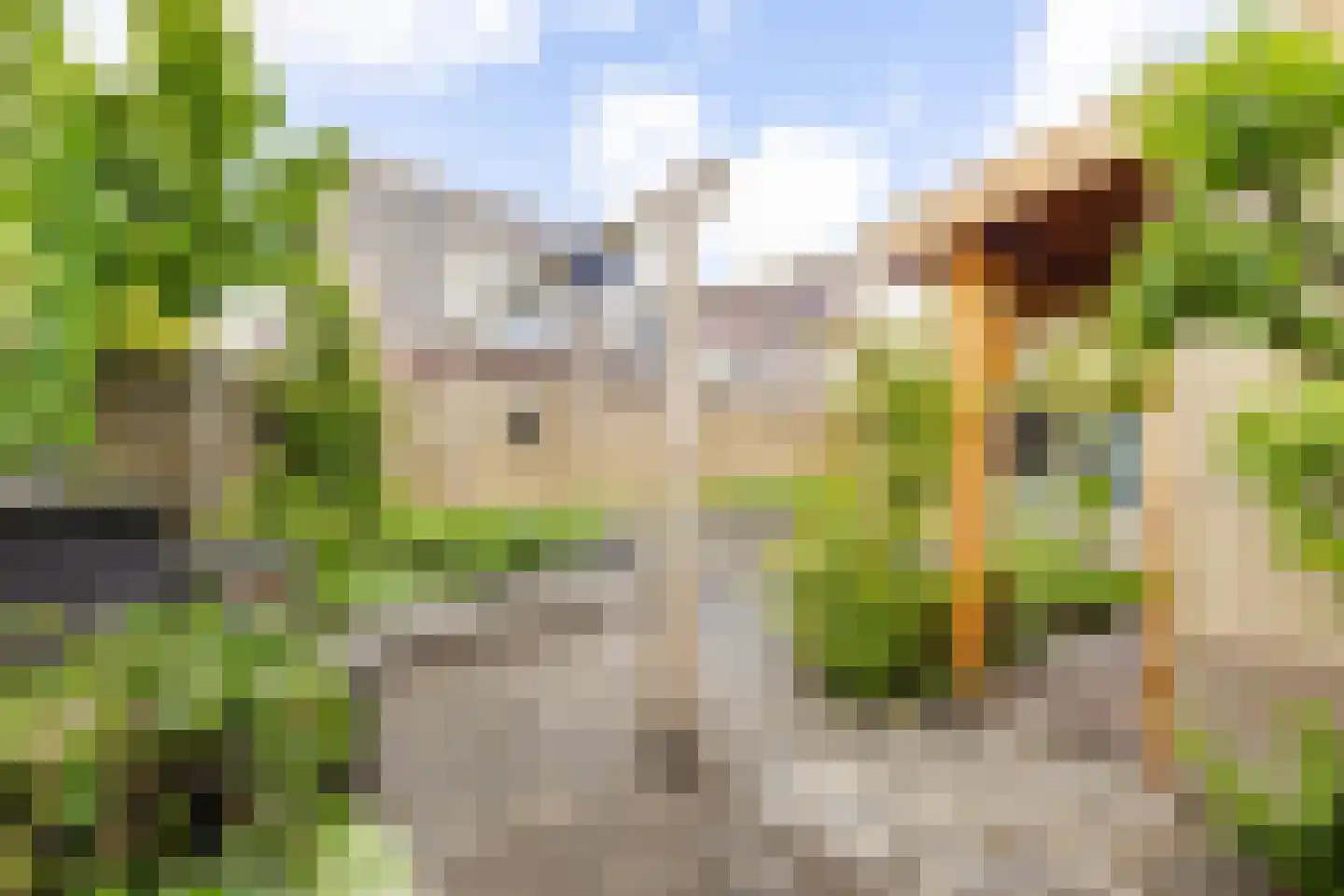 Breedewaij 64 Hardinxveld-Giessendam thumbnail 29