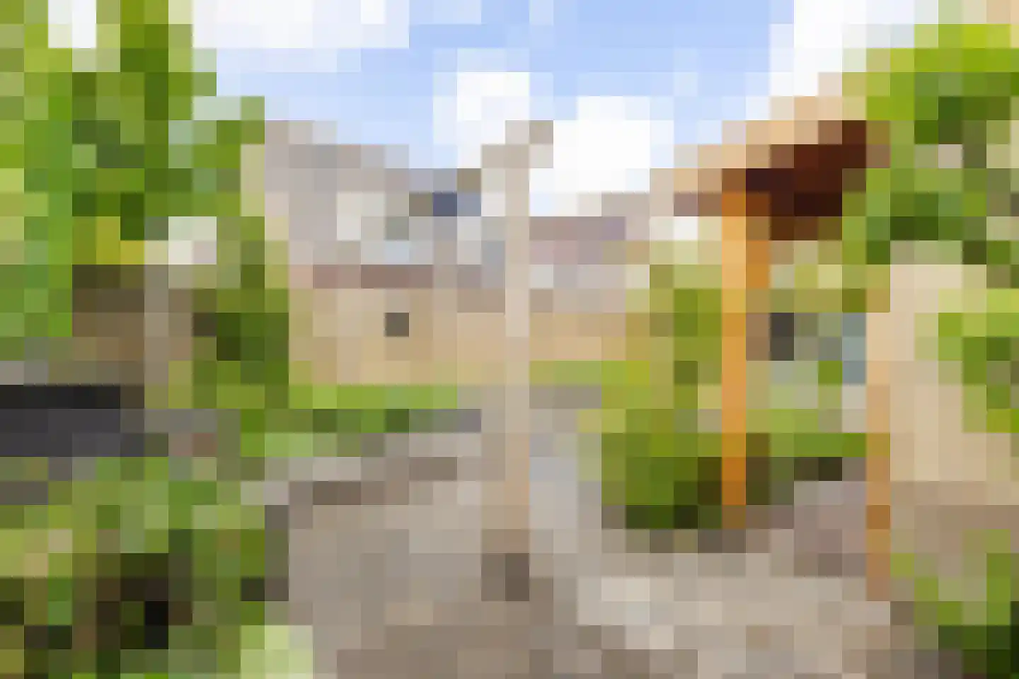 Breedewaij 64 Hardinxveld-Giessendam thumbnail 29