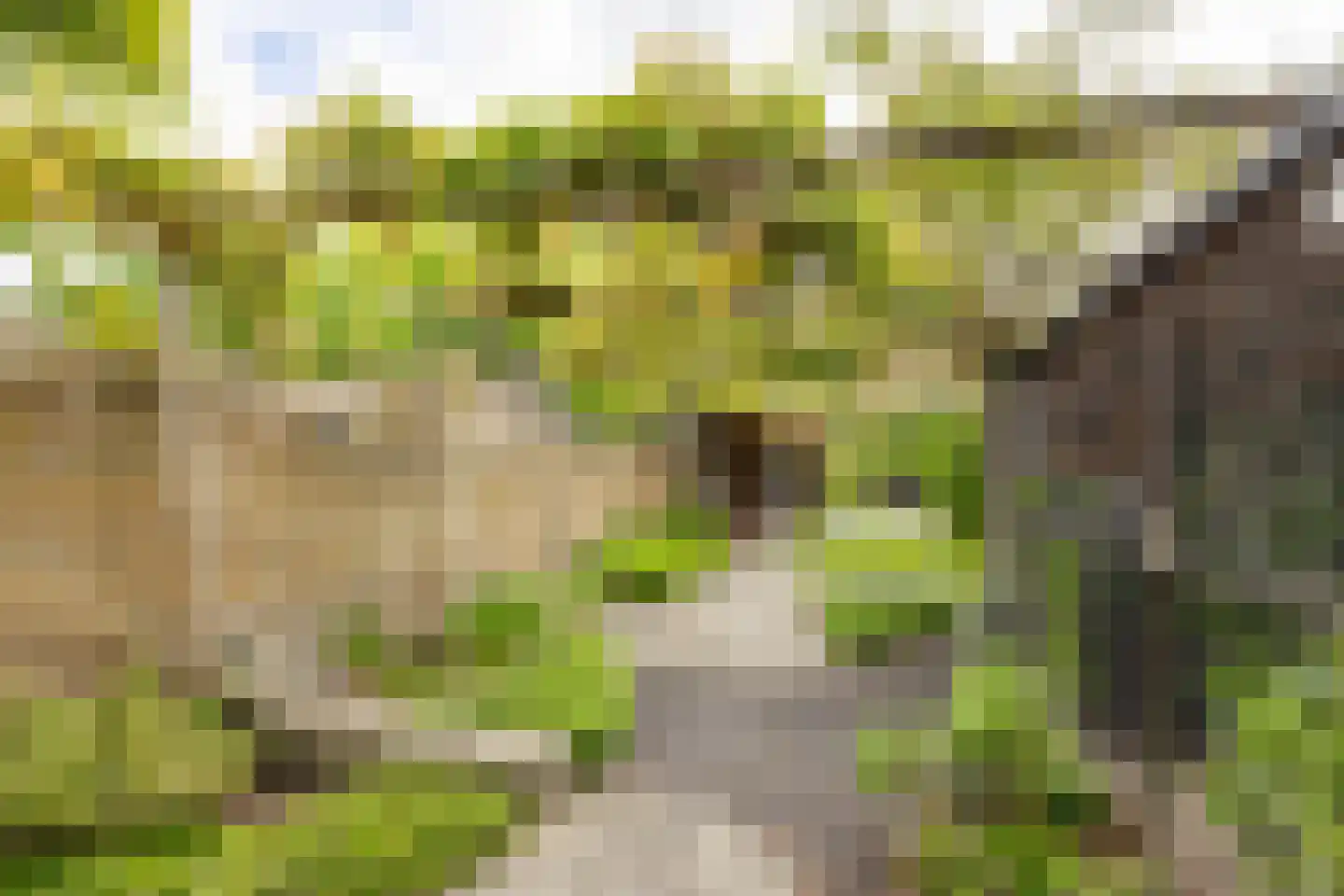 Breedewaij 64 Hardinxveld-Giessendam thumbnail 33