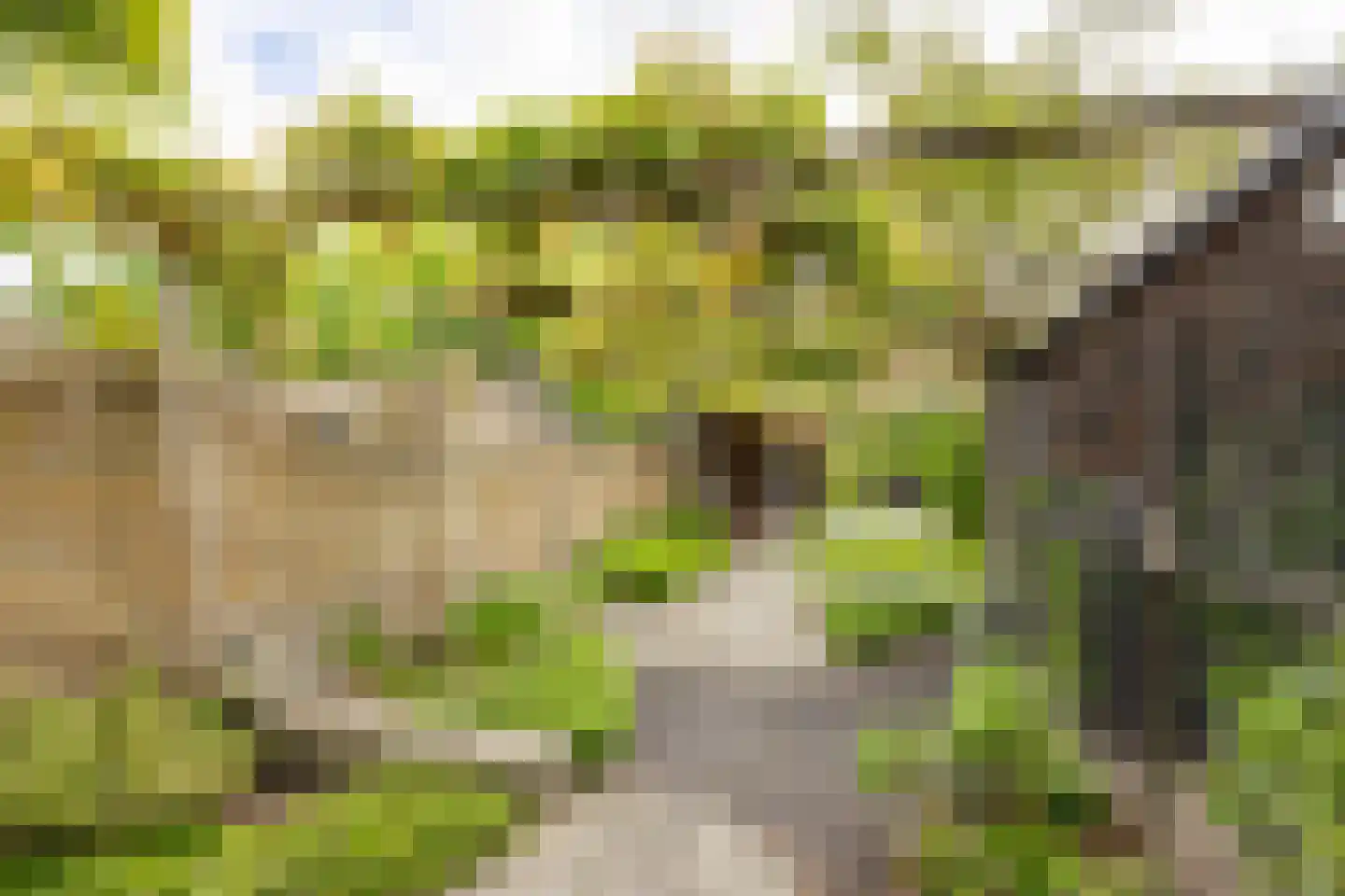 Breedewaij 64 Hardinxveld-Giessendam thumbnail 33