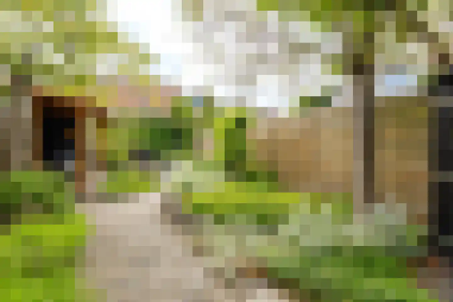 Breedewaij 64 Hardinxveld-Giessendam thumbnail 34