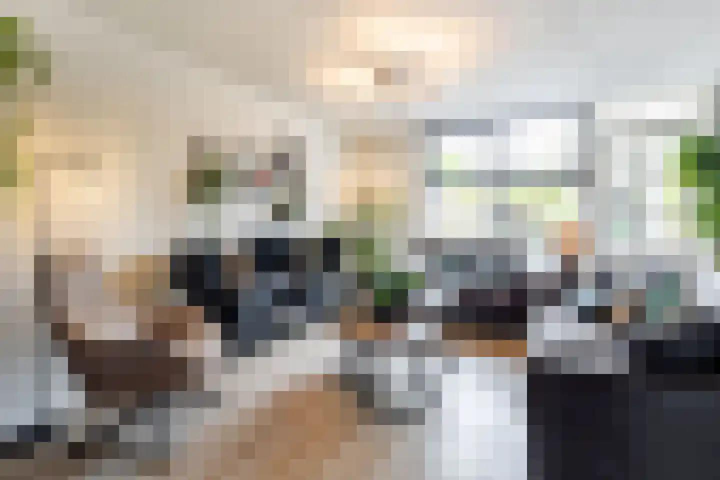 Breedewaij 64 Hardinxveld-Giessendam thumbnail 4