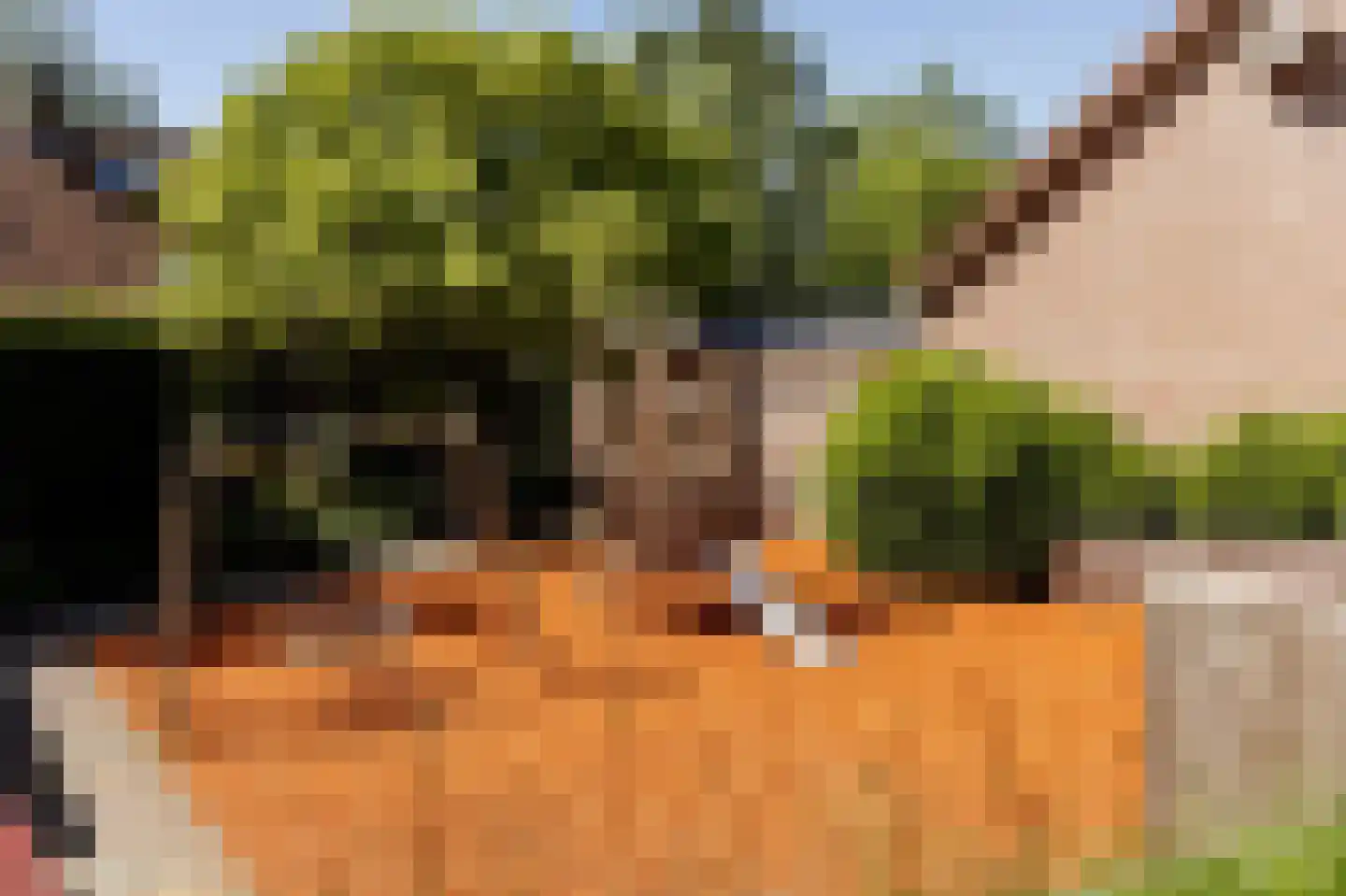 Breedewaij 64 Hardinxveld-Giessendam thumbnail 45