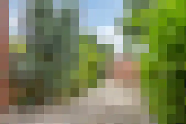 Breedeweer 57 Hendrik-Ido-Ambacht thumbnail 26