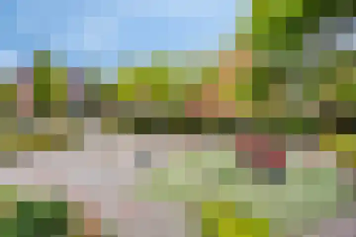 Breedeweer 57 Hendrik-Ido-Ambacht thumbnail 4