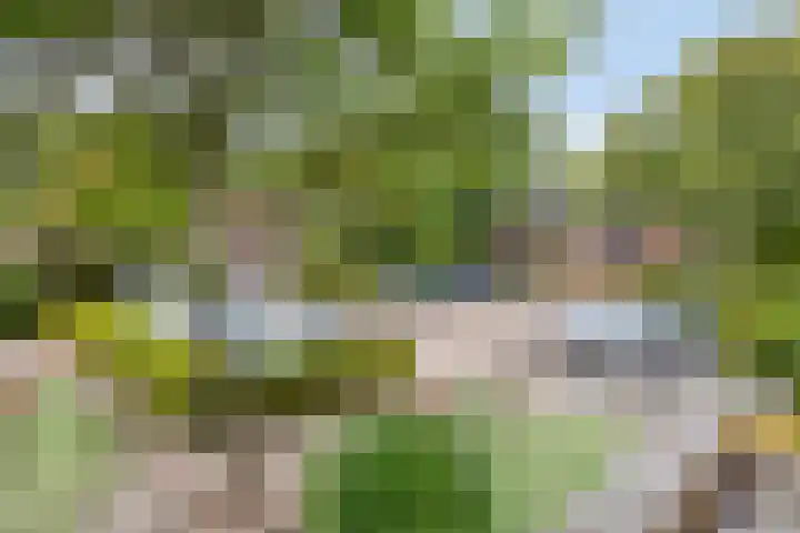 Breedeweer 57 Hendrik-Ido-Ambacht thumbnail 5