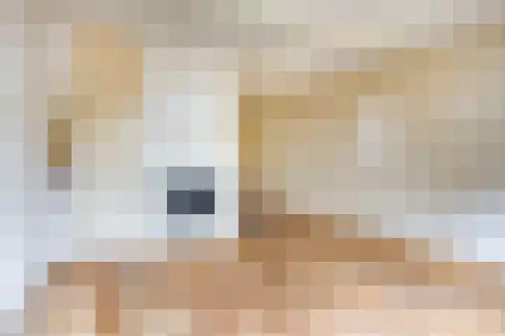 Breedeweer 57 Hendrik-Ido-Ambacht thumbnail 8