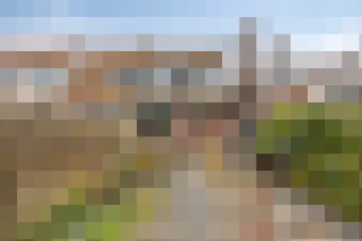 Breedeweg 18 Castricum thumbnail 4