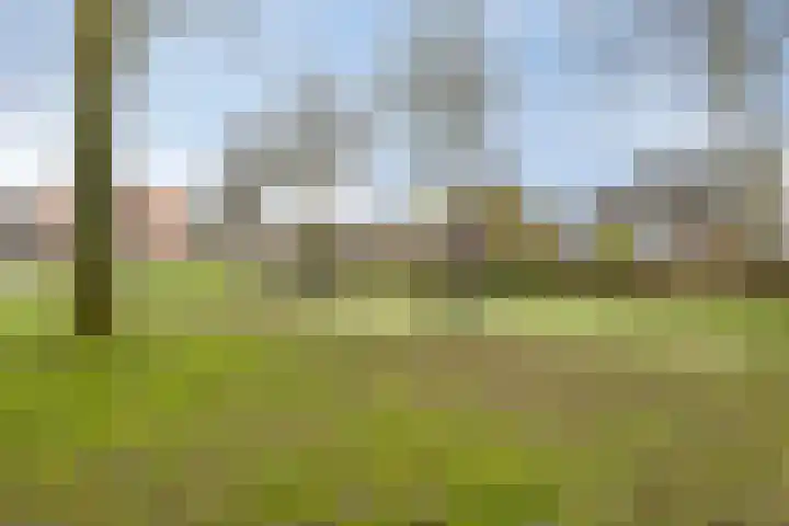 Breedeweg 18 Castricum thumbnail 57