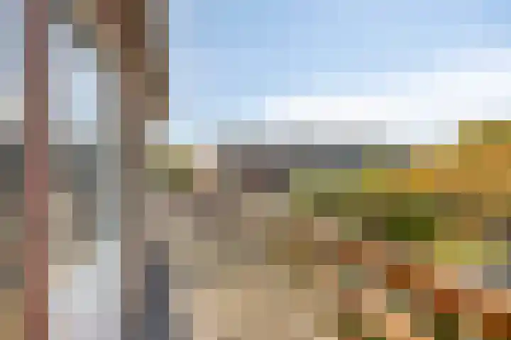 Breedeweg 35 Castricum thumbnail 22