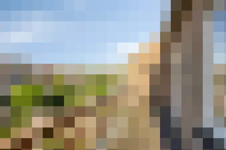 Breedeweg 35 Castricum thumbnail 23
