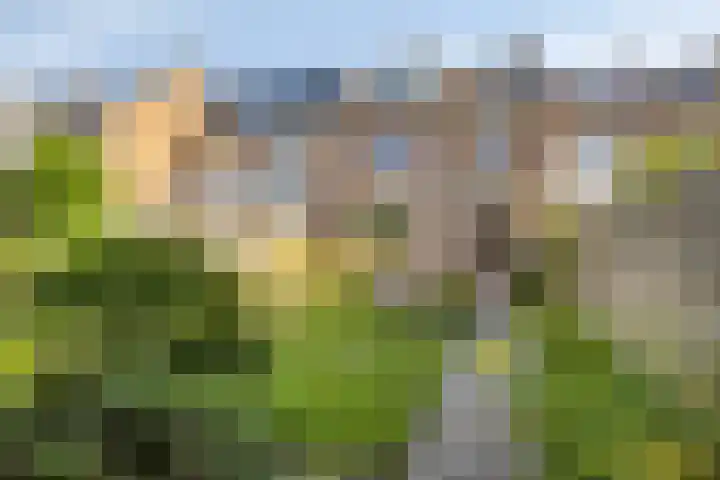 Breedeweg 35 Castricum thumbnail 36
