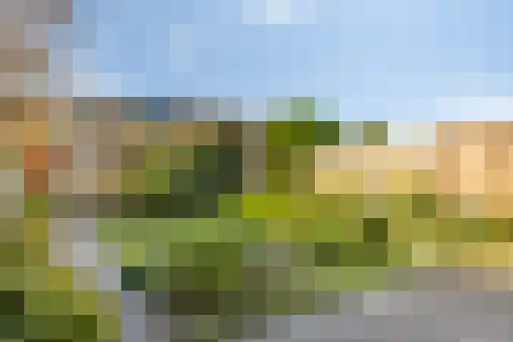 Breedeweg 35 Castricum thumbnail 37