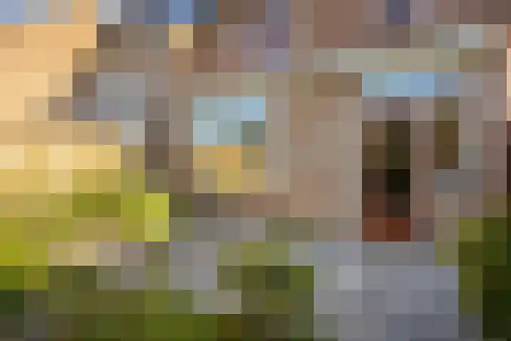 Breedeweg 35 Castricum thumbnail 38
