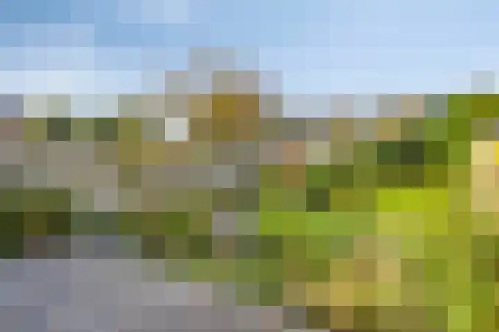 Breedeweg 35 Castricum thumbnail 4