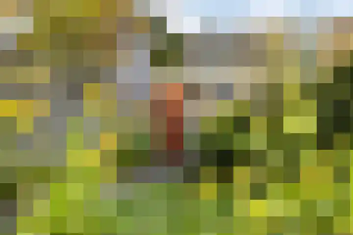 Breedeweg 35 Castricum thumbnail 40
