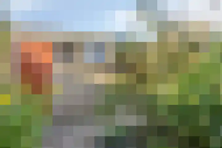 Breedeweg 35 Castricum thumbnail 41