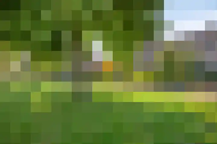 Breedeweg 35 Castricum thumbnail 44