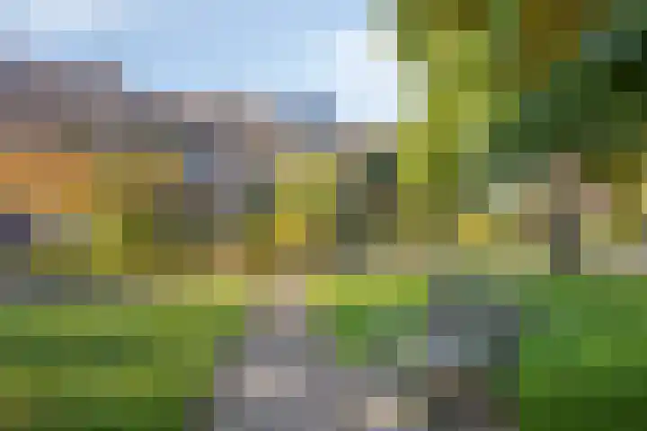 Breedeweg 35 Castricum thumbnail 46