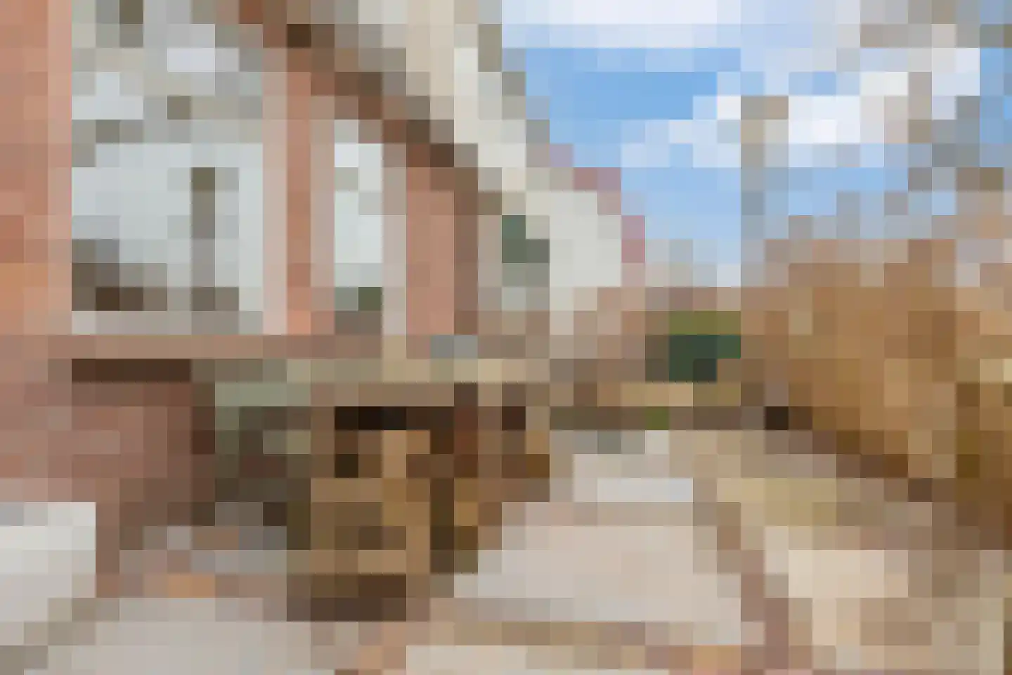 Breedeweg 52 Castricum thumbnail 10