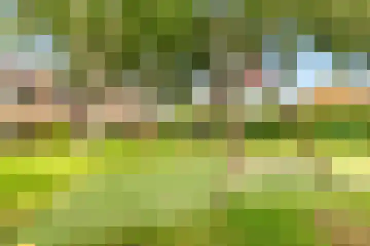 Breedeweg 56 Castricum thumbnail 47