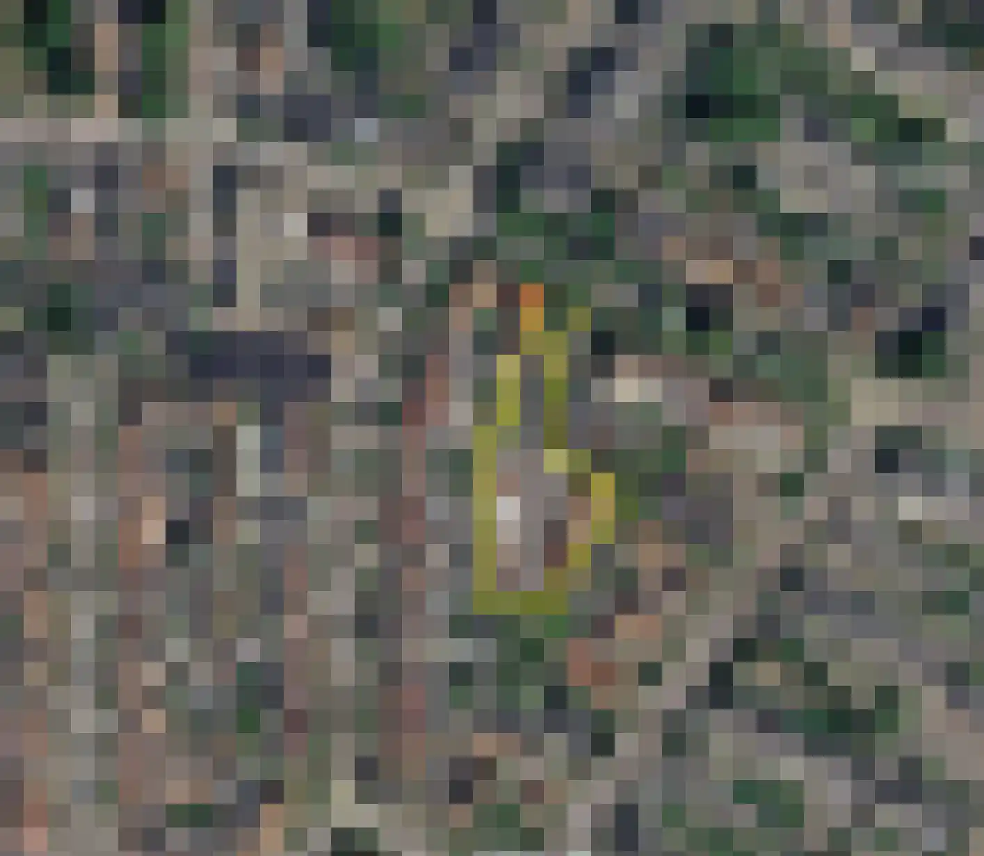 Breedeweg 7 Castricum thumbnail 12