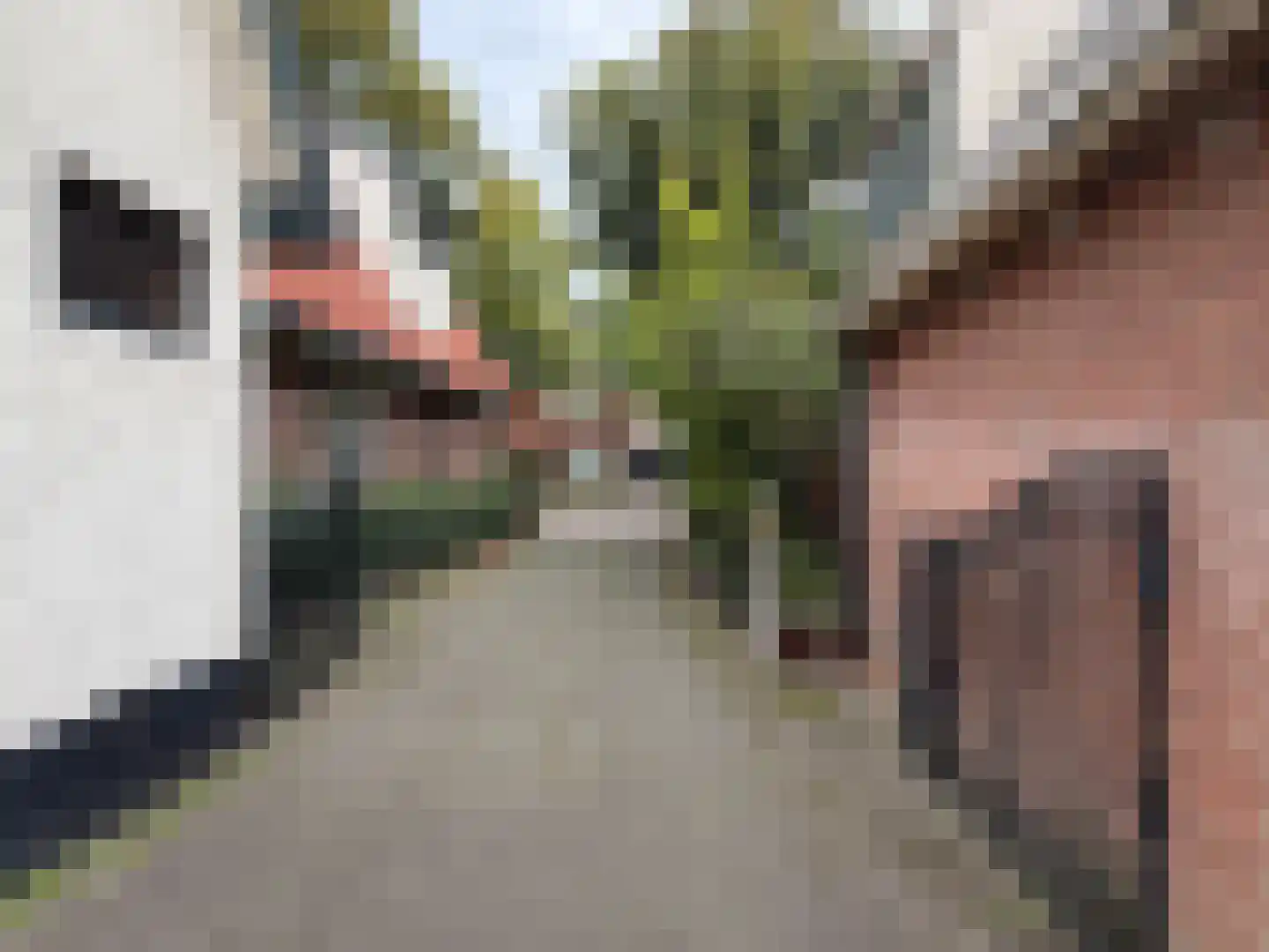 Breedeweg 7 Castricum thumbnail 8
