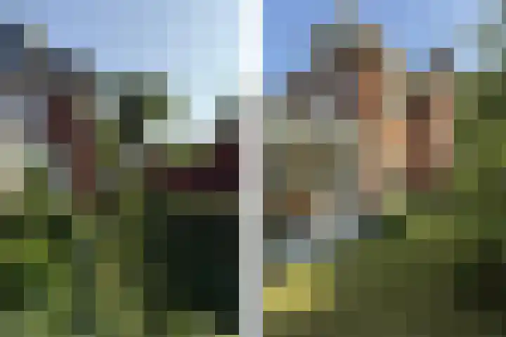 Breedeweg 8 Castricum thumbnail 14