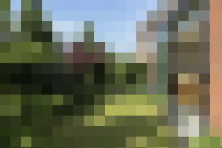 Breedeweg 8 Castricum thumbnail 15