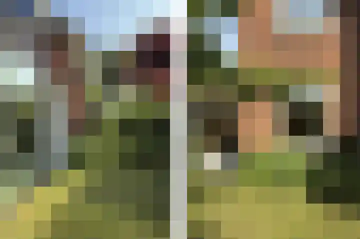 Breedeweg 8 Castricum thumbnail 19