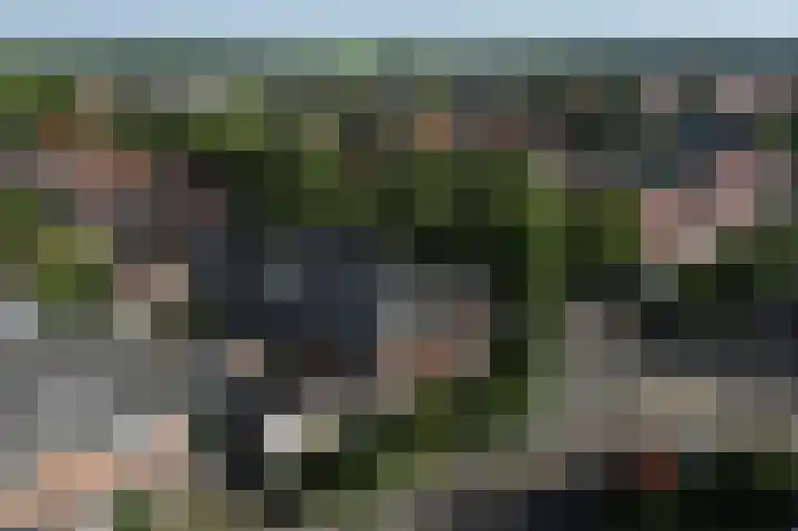 Breedeweg 8 Castricum thumbnail 41
