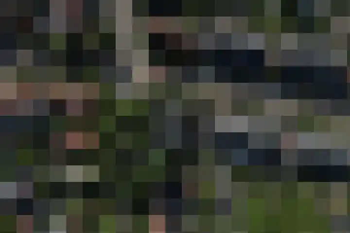 Breedeweg 8 Castricum thumbnail 43