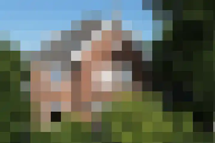 Breedeweg 8 Castricum thumbnail 45