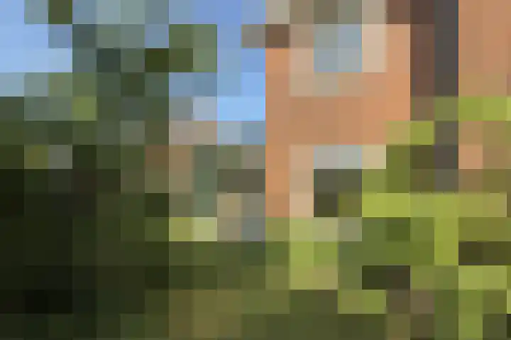 Breedeweg 8 Castricum thumbnail 46