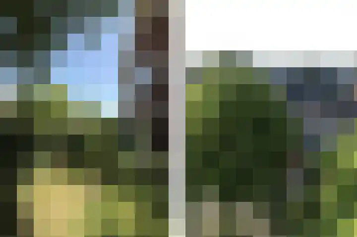 Breedeweg 8 Castricum thumbnail 47