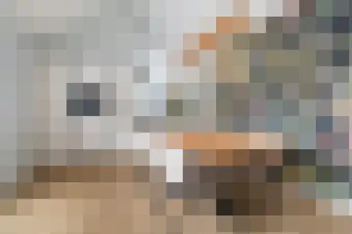 Breedijk 14 Ryptsjerk thumbnail 14