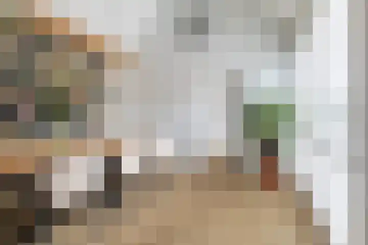 Breedijk 14 Ryptsjerk thumbnail 16