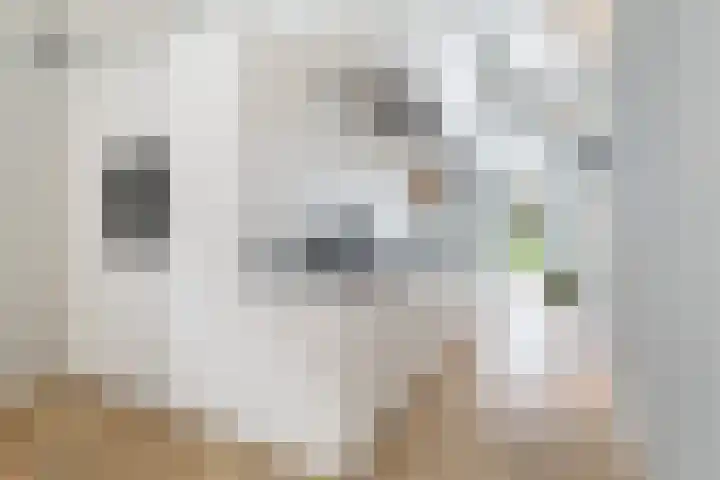 Breedijk 14 Ryptsjerk thumbnail 17