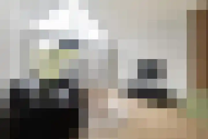 Breedijk 14 Ryptsjerk thumbnail 19