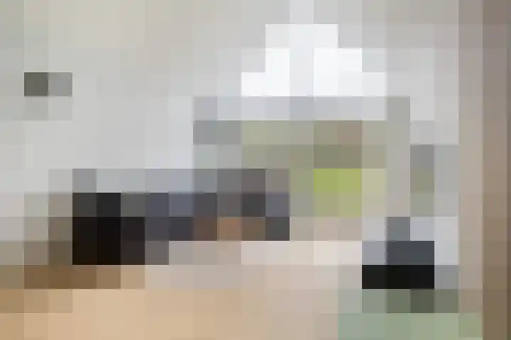 Breedijk 14 Ryptsjerk thumbnail 20