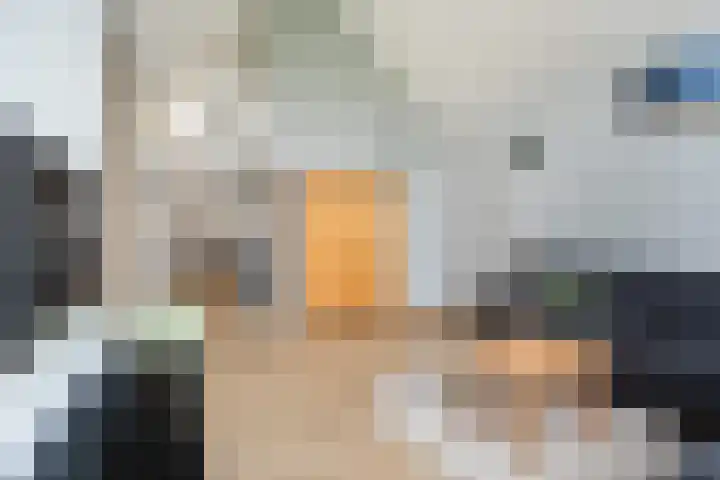Breedijk 14 Ryptsjerk thumbnail 21