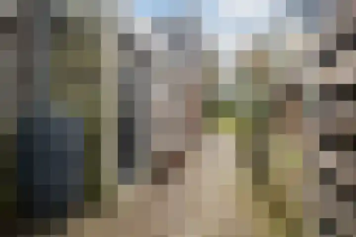 Breedijk 14 Ryptsjerk thumbnail 37