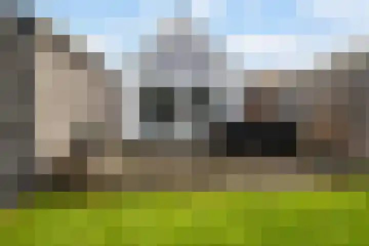 Breedijk 14 Ryptsjerk thumbnail 38