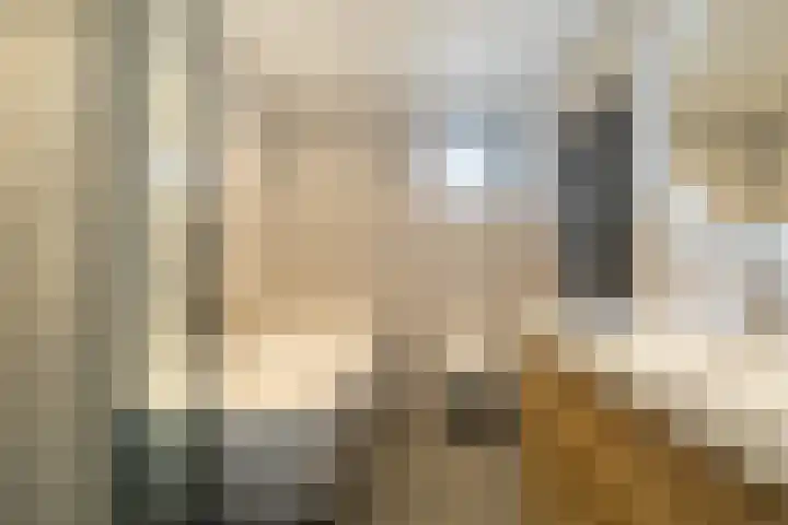 Breedijk 14 Ryptsjerk thumbnail 4