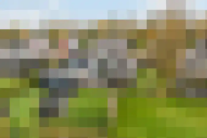 Breedijk 14 Ryptsjerk thumbnail 40