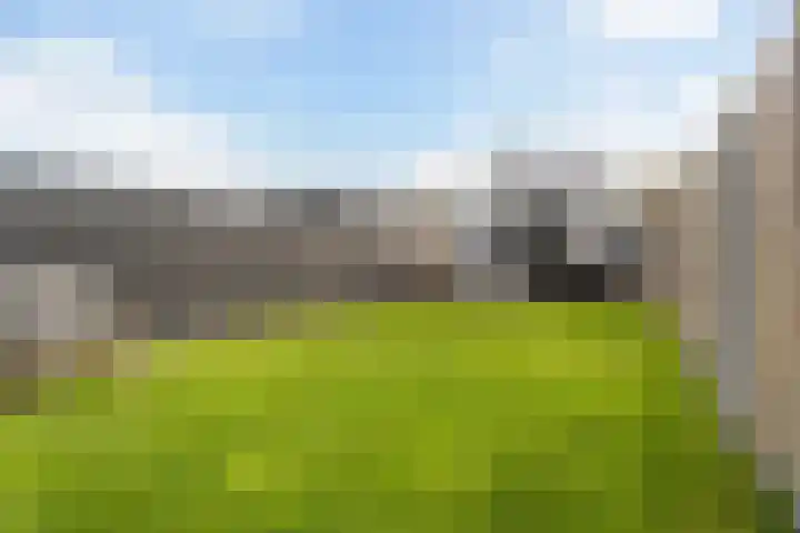 Breedijk 14 Ryptsjerk thumbnail 41